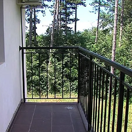 Koziyat Rog モーテル 3*